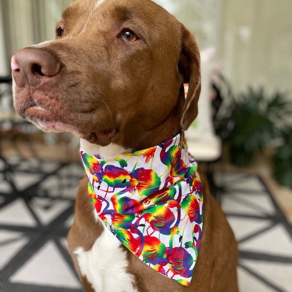 Handmade Dog Bandana with Velcro strap - Picture 3 of 12